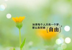 游走宿舍全文免费阅读无弹窗大结局（游走宿舍）_（游走宿舍）游走宿舍最新