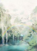 《为妾》沈槐安赵拂全章节在线阅读