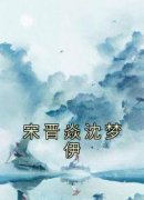 爆款小说《宋晋焱沈梦伊》主角沈梦伊宋晋焱全文在线完本阅读