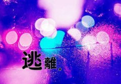 沈清烟顾明渊（沈清烟顾明渊）全文免费无弹窗大结局_沈清烟顾明渊（沈清烟