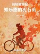 抖音热推小说《假唱被举报，娱乐圈的泥石流》全文在线阅读