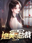 (抖音)分手后，闪婚绝美女总裁叶枫杨倩倩小说免费全文阅读