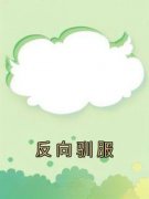 熬夜也要看完的反向驯服小说推荐