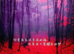 刺激又勇敢的爱封廷江（封廷江姜棠）全文免费阅读无弹窗大结局_刺激又勇敢