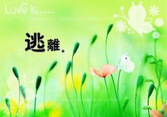 前尘挥别小说(许桃宋斐)全文免费阅读无弹窗大结局_（前尘挥别小说）许桃宋斐