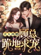 夫人再婚，顾总跪地求宠小说-叶思雨顾景承全篇阅读