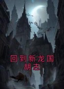 《回到新龙国胡志》（胡天老马）精彩小说目录阅读