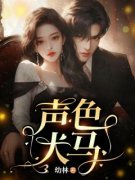 （全集-免费）声色犬马完本小说_姜卓宁沈听肆全文免费阅读