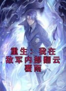 爆款热文李伟张岚峰在线阅读-《重生：我在敌军内部翻云覆雨》全章节列表