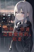 《阿珩，你说过要娶我的，别走》（谢安岚陆珩）精彩小说目录阅读