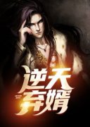《逆天弃婿》小说全章节目录阅读BY小生吃豆腐完结版阅读