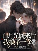 白月光回来后我换了一个总裁(新书)大结局在线阅读