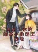 （全本）沈总：你的绿茶小助理上线啦主角林安沈灼全文目录畅读