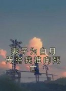 妻子为白月光将我推向死亡全文目录-林知知陆子航小说无弹窗阅读