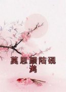 无弹窗小说莫思颜陆砚鸿 作者陆砚鸿