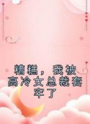 抖音小说《糟糕，我被高冷女总裁套牢了》陈煜颜若曦颜世豪全文txt