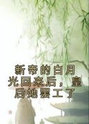 书荒必备《新帝的白月光回来后，皇后她罢工了》全文章节阅读