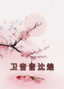 卫音音沈煌卫音音沈煌全本小说（卫音音沈煌）全章节小说目录阅读