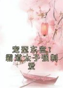 宠冠东宫：霸道太子强制爱全集小说_江宛儿池锐完结版阅读