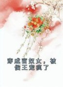 穿成官奴女，被侯王宠疯了小说百度云完整章节列表免费阅读