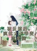 《被反撩后，疯批太子爷变恋爱脑》沈雾谢辞渊全章节在线阅读