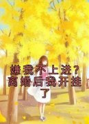 (抖音)嫌我不上进？离婚后我开挂了 主角周国淮陈雅婷
