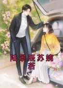 《陆景辰苏婉若》苏婉若陆景辰最新章节在线阅读