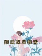 热门小说《顾廷琛周稚瑗》完整版全文阅读