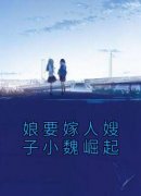 《娘要嫁人嫂子小魏崛起》快手热推魏淑清赵大虎免费阅读