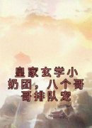 小霜宝钟离羽主角的小说完结版《皇家玄学小奶团，八个哥哥排队宠》全集