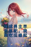 值得熬夜看完的穿成男主早逝原配，我靠吃瓜雄起小说阅读