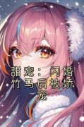 甜宠：闪婚竹马后被娇宠小说的书名是什么