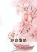 游走巅峰南衣姜诗琪小说全文-游走巅峰小说