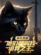 重生黑猫，他们都叫我诡异之主(全章节)-林夜小黑在线阅读