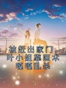 《被赶出家门，叶小姐靠医术嘎嘎乱杀》叶锦沫季司宸by招财猫免费看