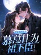 乔小姐别嫁人，慕总甘为裙下臣小说最后结局，慕织弦乔桑宁百度贴吧小说全文