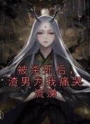 (抖音)被杀死后，渣男为我痛哭流涕沈如念黎萧小说免费全文阅读