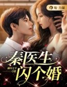 秦医生，闪个婚[抖音]小说-时晚夏秦砚丞无删减阅读