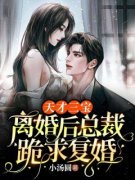 苏倾诺封煦霆全章节阅读-天才三宝：离婚后总裁跪求复婚全文分享阅读