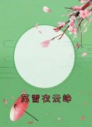 抖音苏雪衣云峥小说章节阅读