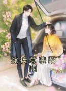 佚名写的小说《沈枝意裴昭阳》沈枝意裴昭阳全文阅读
