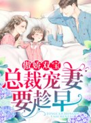 《龙凤双宝：厉少的寻妻之路》by初颜免费阅读小说大结局