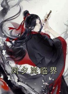 老书虫书荒推荐凤夕岚临界txt小说阅读
