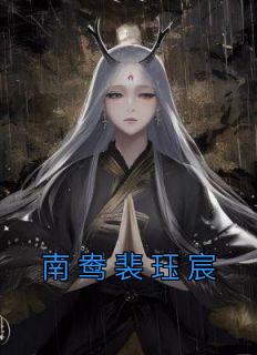南鸯裴珏宸免费阅读全文，主角南鸯裴珏宸小说完整版最新章节
