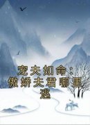 宠夫如命：傲娇夫君哪里逃(全章节)-封雪封凝在线阅读