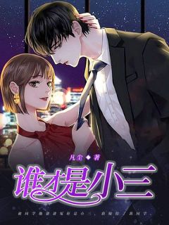 《谁才是小三》小说焦子茜王铭贺免费阅读