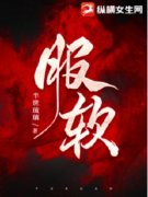 扶软陆砚臣《服软》完结版小说全文免费阅读