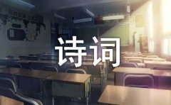 诗词人生精彩作文