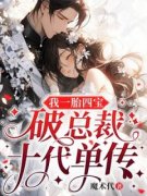 《我一胎四宝，破总裁十代单传》by魔术代(苏念席耀霆)未删节免费阅读