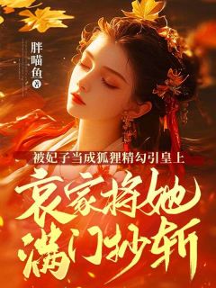 被妃子当成狐狸精勾引皇上，哀家将她满门抄斩全集小说_翠儿陈依依完结版阅读